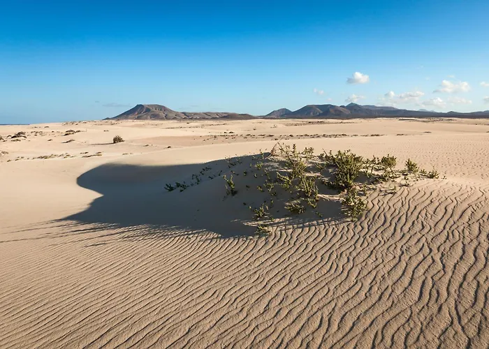 Дом отдыха Home2Book Casa Maria Rustic Escape In Villaverde